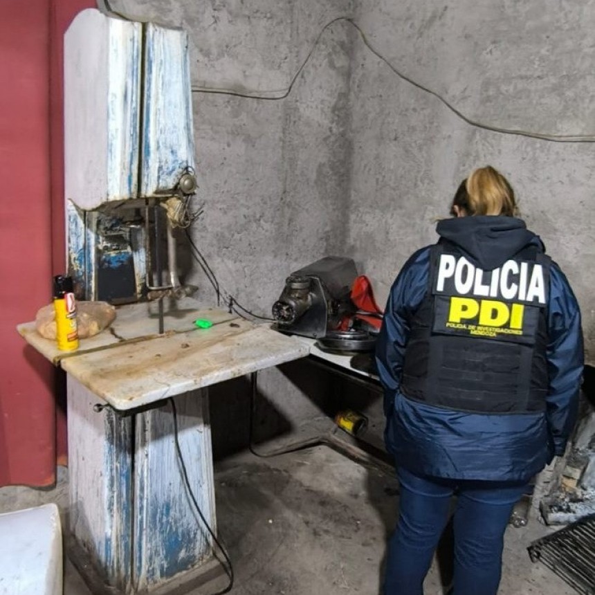 Secuestran 150kg de carne y alimentos vinculados a abigeato, en San Martín