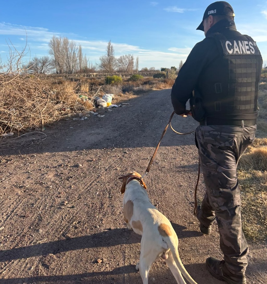 Fito, el perro polic&iacute;a que fue clave para recuperar elementos robados en San Mart&iacute;n