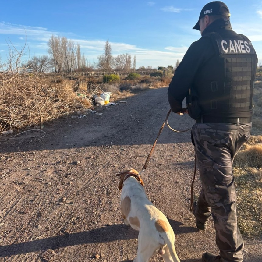 Fito, el perro polic&iacute;a que fue clave para recuperar elementos robados en San Mart&iacute;n