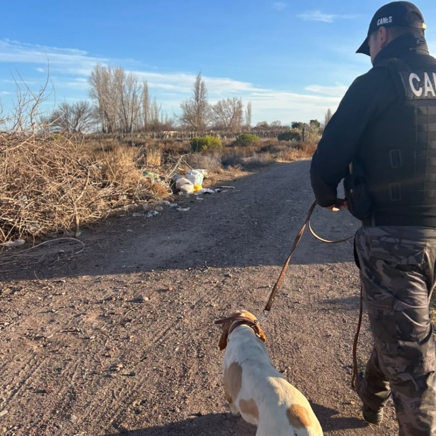 Fito, el perro polic&iacute;a que fue clave para recuperar elementos robados en San Mart&iacute;n
