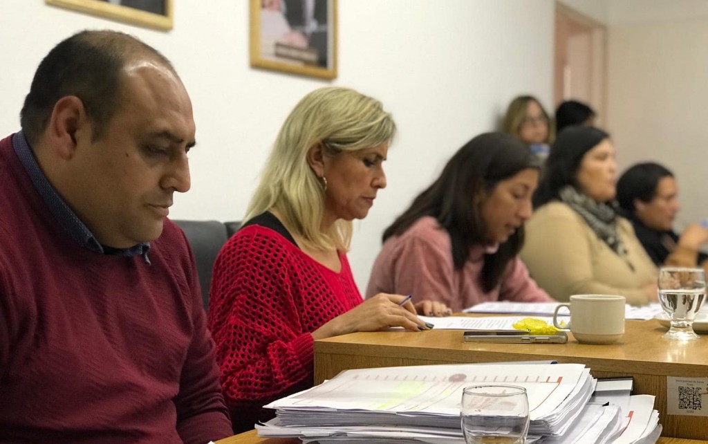 Se aprobó en el HCD de Santa Rosa, la entrega de mercadería