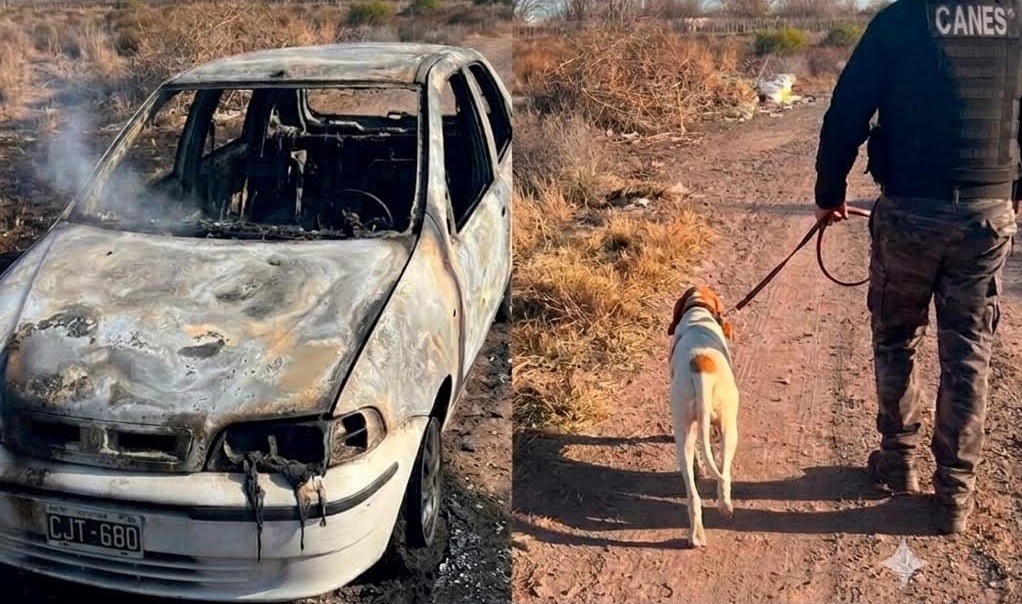El olfato de &ldquo;Fito&rdquo; fue clave para esclarecer un violento asalto en El Marcado 