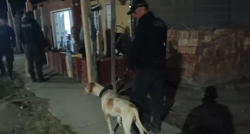 El olfato de un perro polic&iacute;a fue clave para resolver un robo en La Paz 