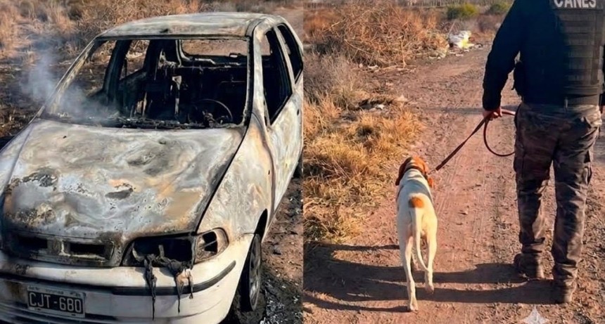 El olfato de &ldquo;Fito&rdquo; fue clave para esclarecer un violento asalto en El Marcado 