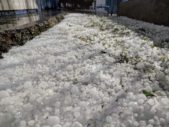 Granizo azota el norte de San Martín: región productiva sufre daños severos 